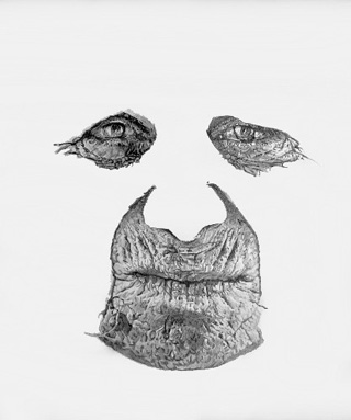 2015